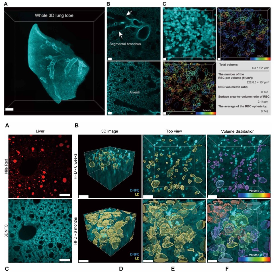 A database of 5305 healthy Korean individuals reveals genetic and clinical  implications for an East Asian population