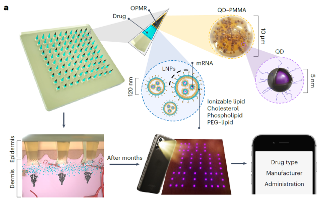 마이크로니들에 mRNA 백신과 의료정보를 패턴의 형태로 함께 탑재하여, 상온에서도 안정성을 띄는 mRNA 백신과 1,370억 가지가 넘는 의료정보 패턴을 동시 전달하고, 머신러닝을 활용하여 높은 정확도로 의료정보를 기록하고 출력함과 동시에 효과적으로 SARS-CoV-2 등의 감염병을 예방함.