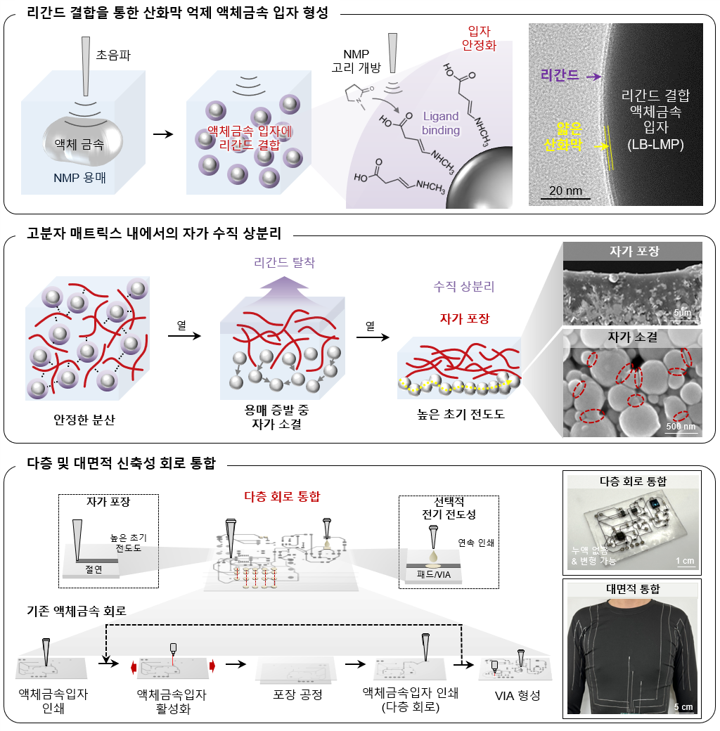 리간드가 결합된 액체금속 입자 개념도 및 이를 활용한 신축성 인쇄 회로 응용 예시