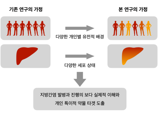 전체적인 연구 가설과 목표. 개인별 다양한 유전적 배경과 각 환자가 보유한 간 조직 내에서의 다양한 세포 상태를 실험적으로 구현하여 분석을 진행함.