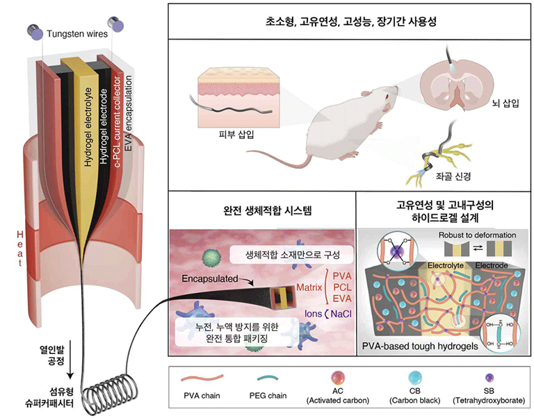 고유연성, 고성능, 고내구성을 가지는 완전 생체적합 섬유형 슈퍼커패시터에 대한 모식도