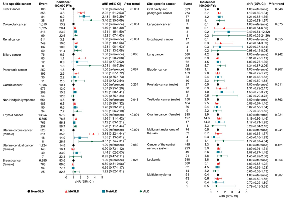 지방간질환 종류에 따른 부위별 암 발생 위험