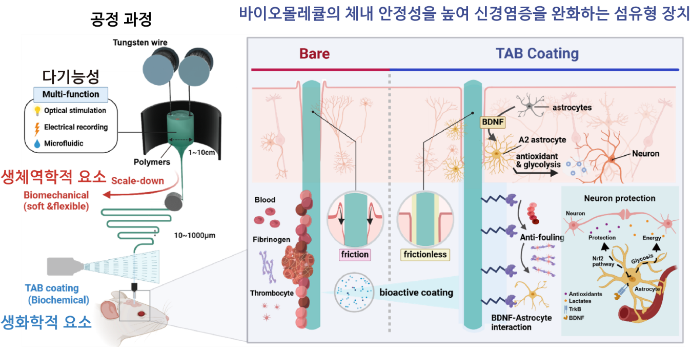 섬유형 신경 인터페이스 장치