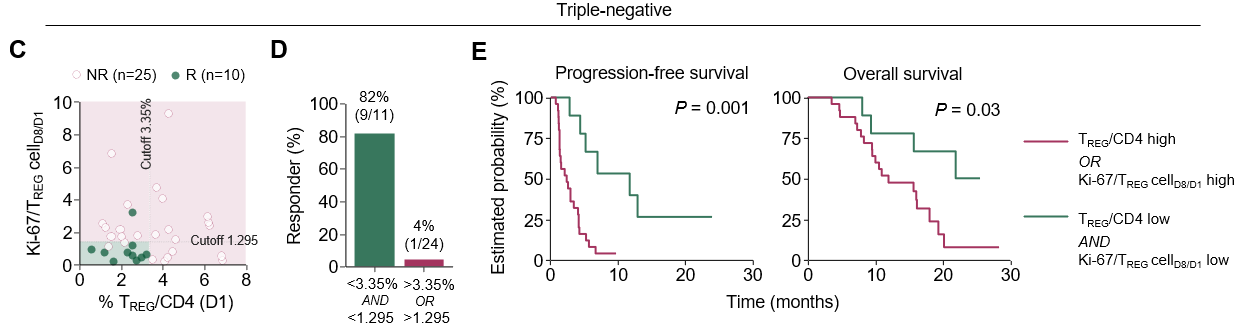 TREG 증가군의 생존기간