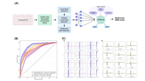(A) 모델의 구조 (B) 모델의 성능 (C) Saliency map visualization for model interpretation