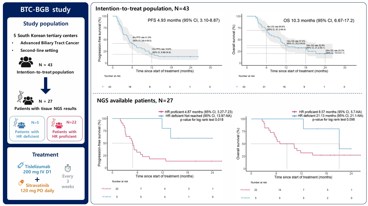 BTC-BGB 연구에서 HR 결핍 여부에 따른 생존 분석